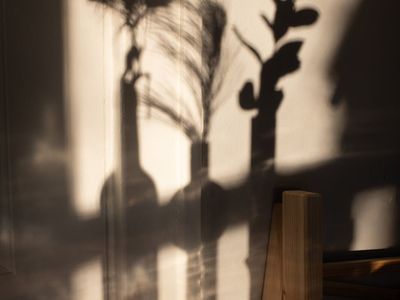 Natural light streaming into a quiet room with plants.